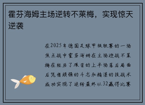 霍芬海姆主场逆转不莱梅，实现惊天逆袭